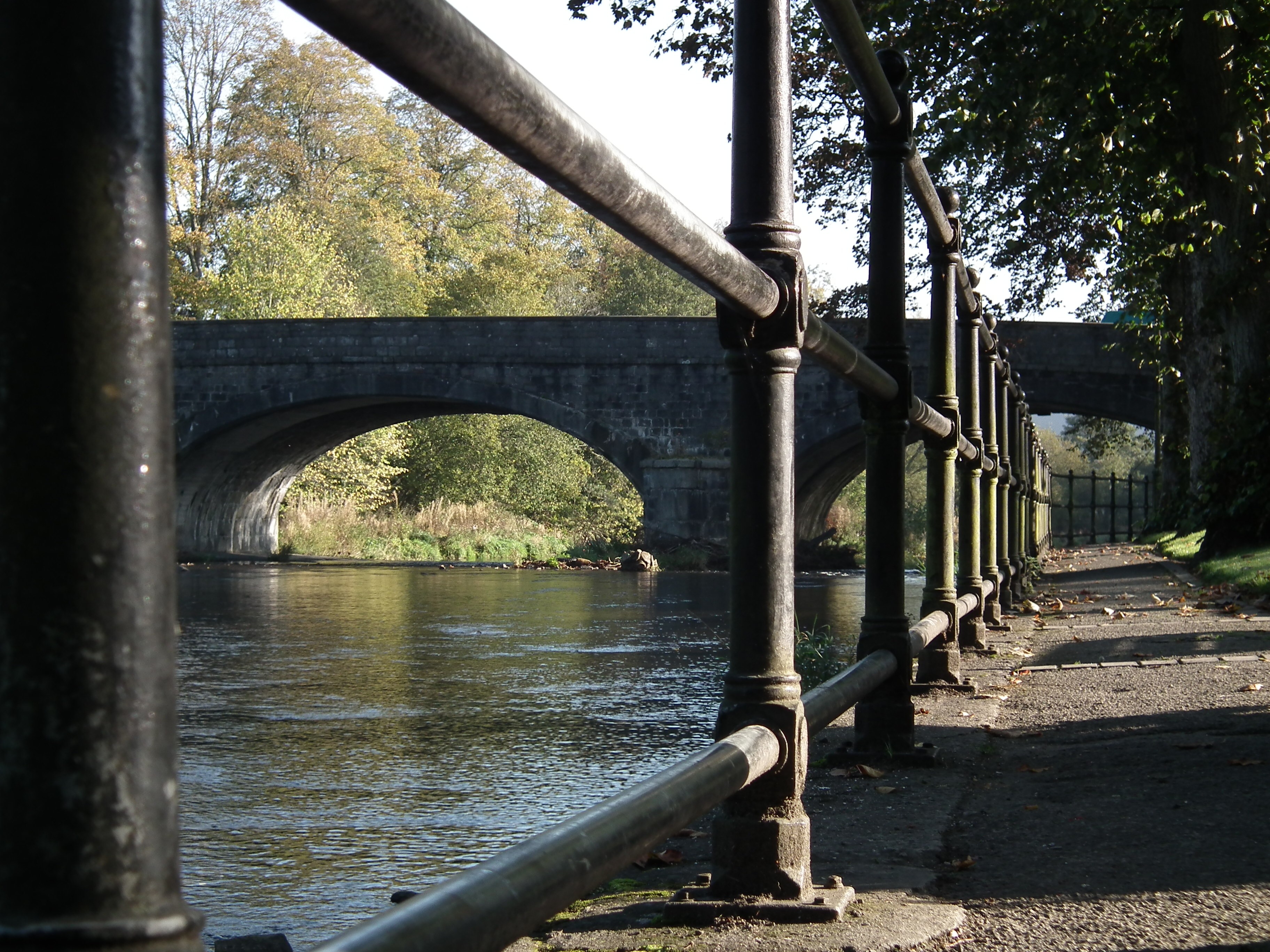 LOWDOWN ON LONGBRIDGE Bill Bagley Photography